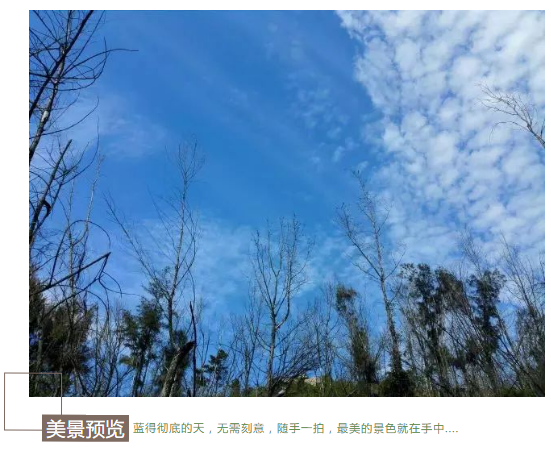 QQ图片20220308161527.png