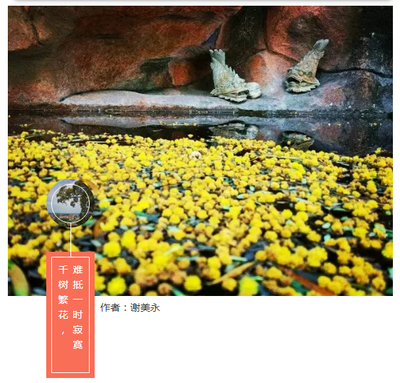 QQ图片20220308181502.png
